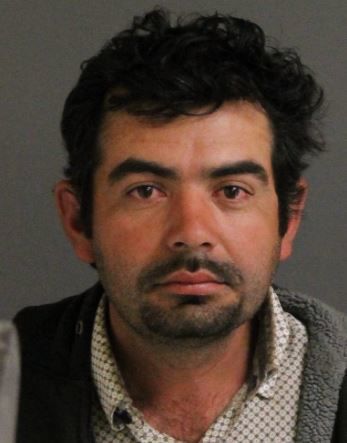 Pedro Cruz